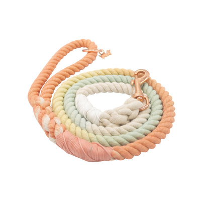 Dog Rope Leash - Honeydew