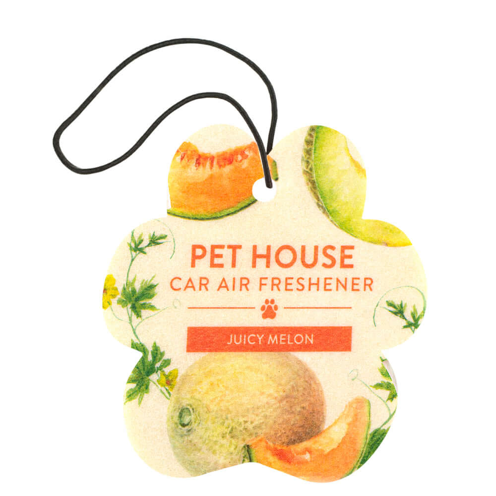 Juicy Melon Car Air Freshener