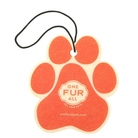 Juicy Melon Car Air Freshener