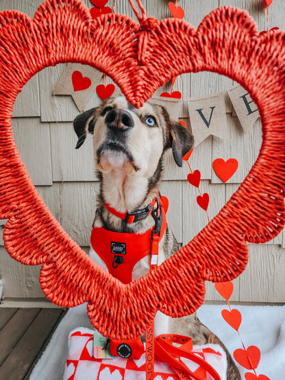 Dog Collar - Neon Red