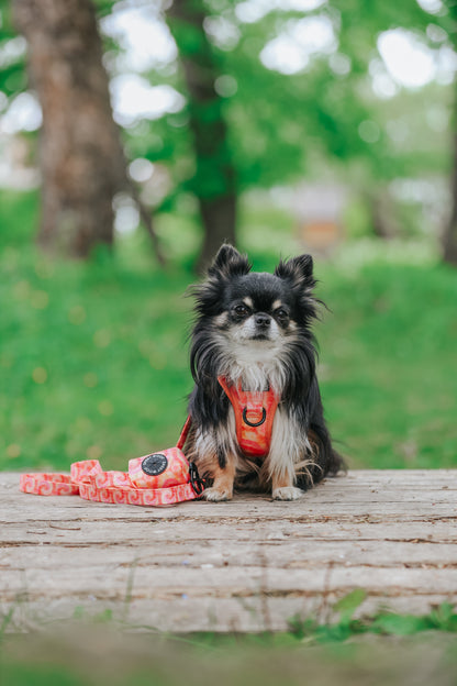 Dog Step-in Harness - Summer Sorbet