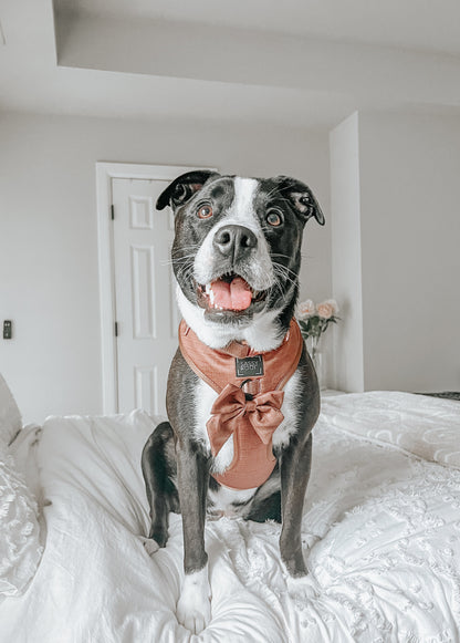 Dog Adjustable Harness - Teddy