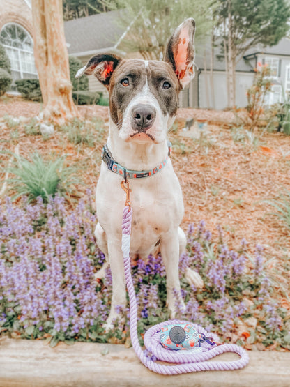 Dog Rope Leash - Lavender