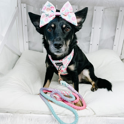 Dog Rope Leash - Lollipup