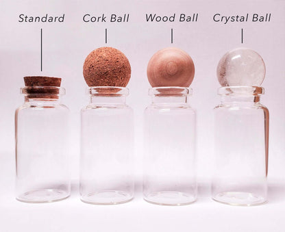 Small Alchemist Terrarium Starter Kit with Baby Moss Ball Pet