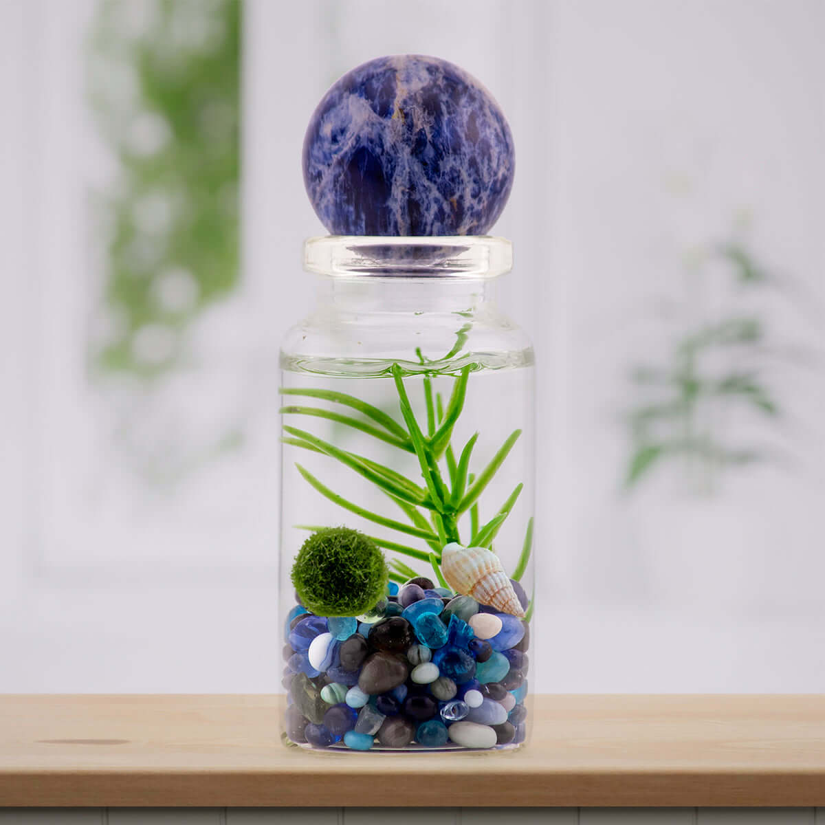 Moss Ball Pet Terrarium - The Alchemist's Collection