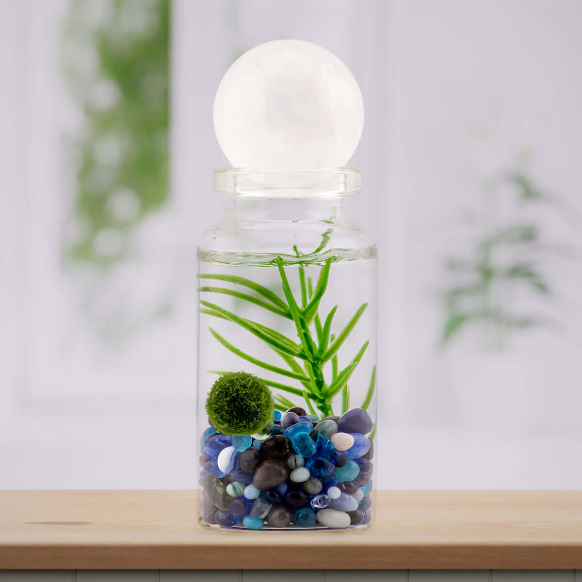 Moss Ball Pet Terrarium - The Alchemist's Collection