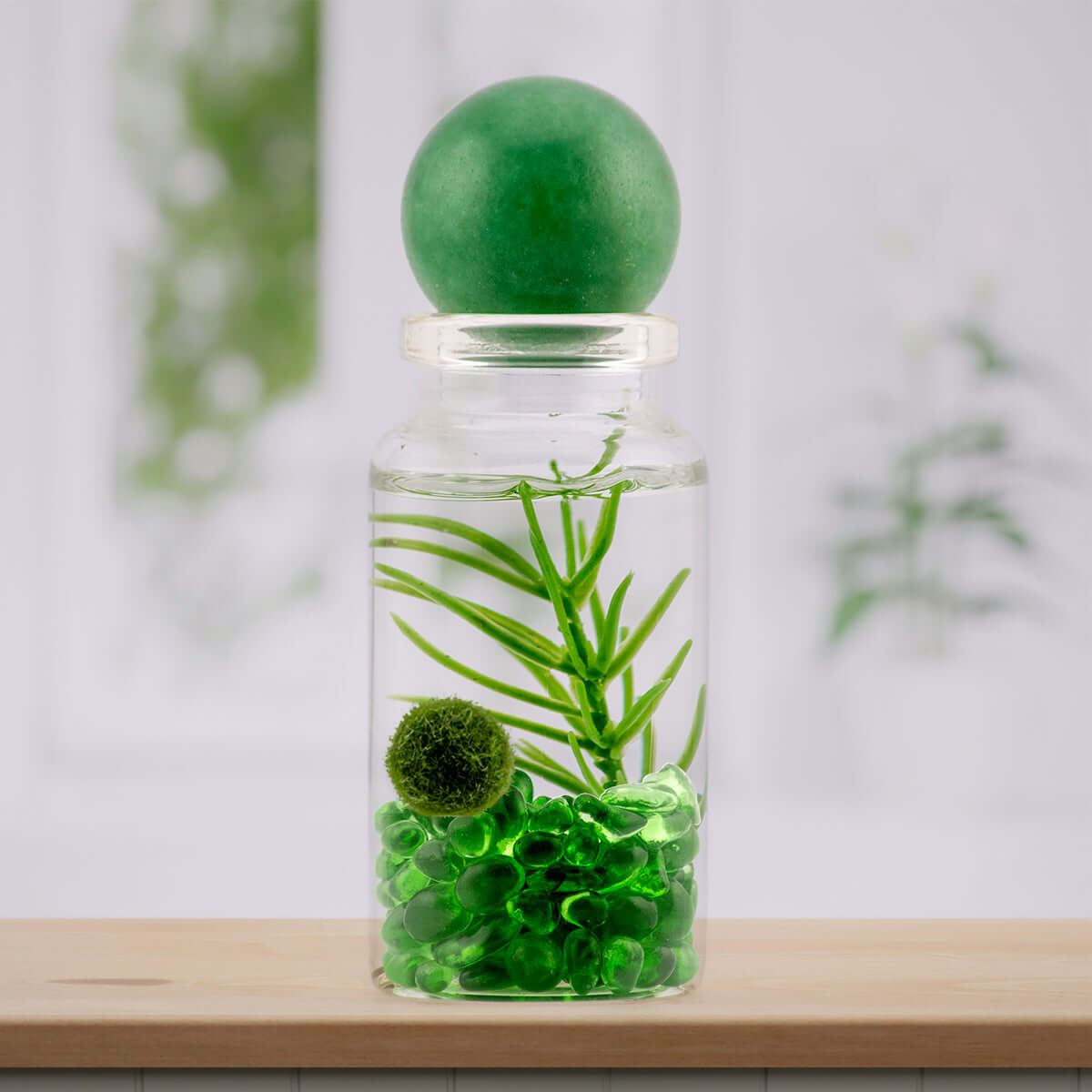 Moss Ball Pet Terrarium - The Alchemist's Collection