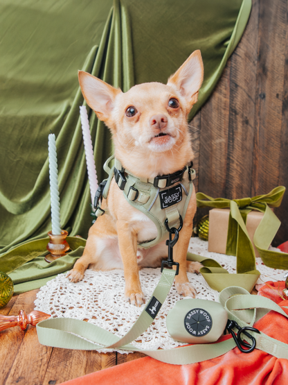 Dog Collar - Matcha