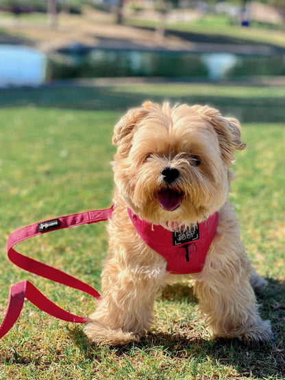 Dog Leash - Merlot