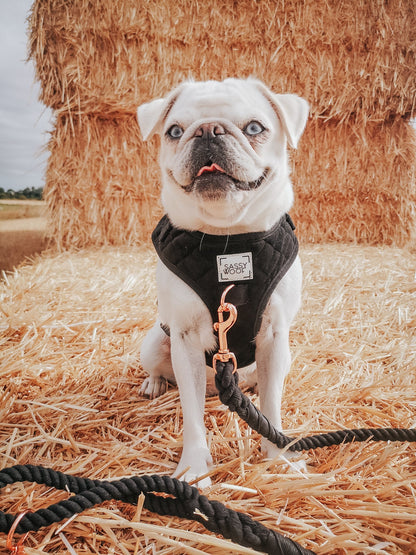 Dog Rope Leash - Noir
