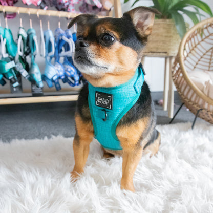 Dog Adjustable Harness - Napa