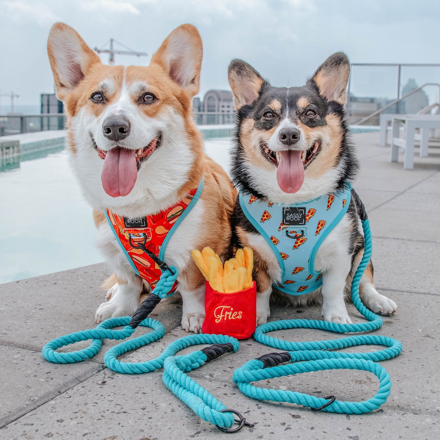Dog Rope Leash - Neon Blue