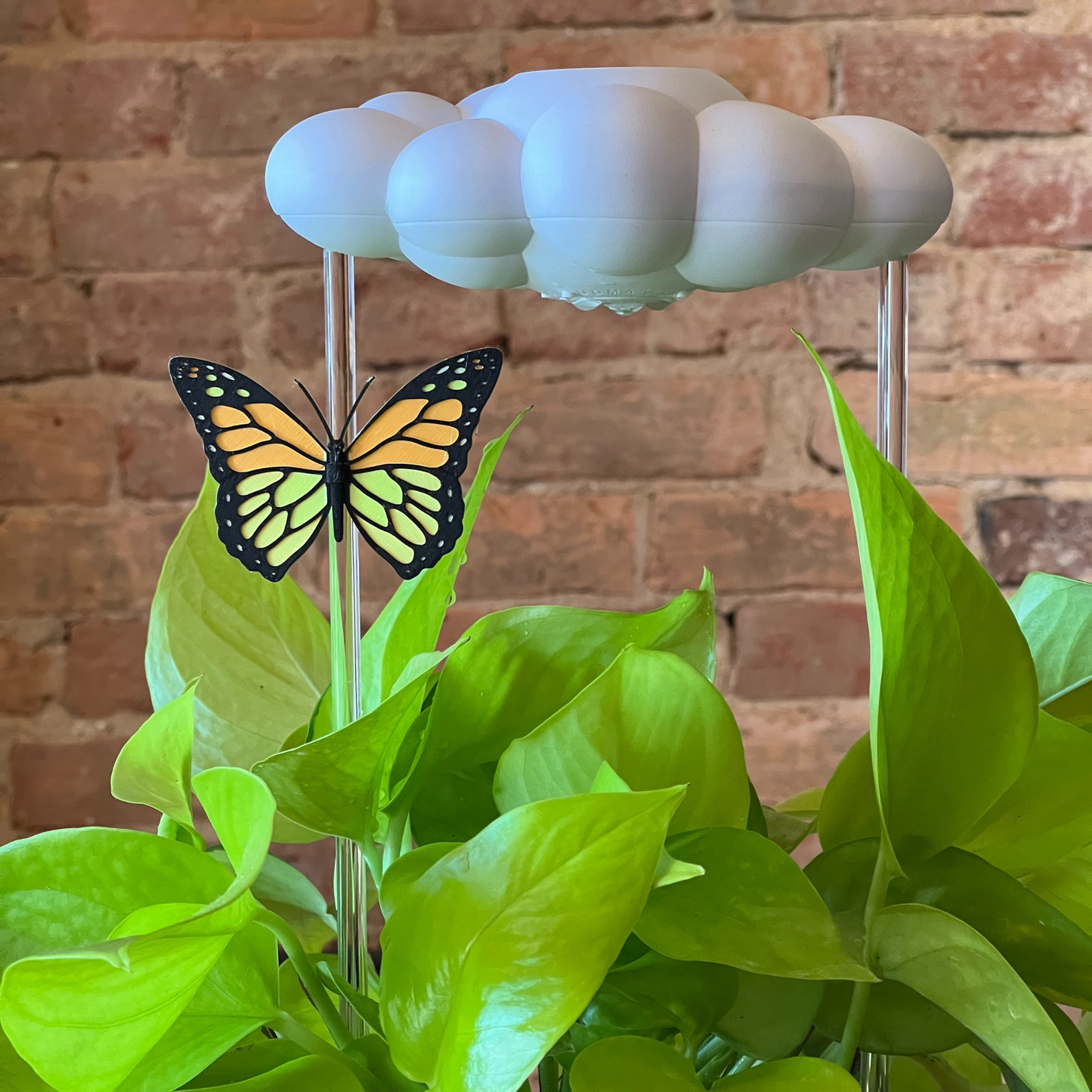 Original Dripping Rain Cloud with Orange Butterfly Charm