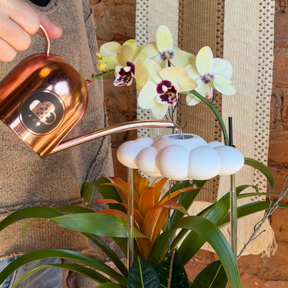 Original Dripping Rain Cloud