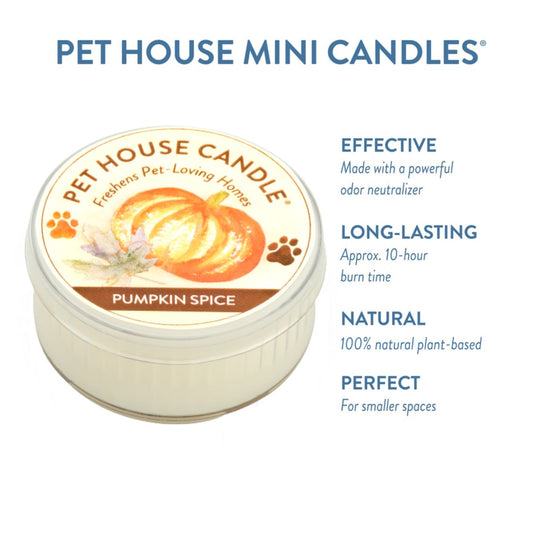Pumpkin Spice Mini Candle