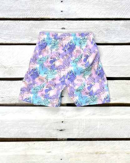 Painted Flamingo Boy Shorts