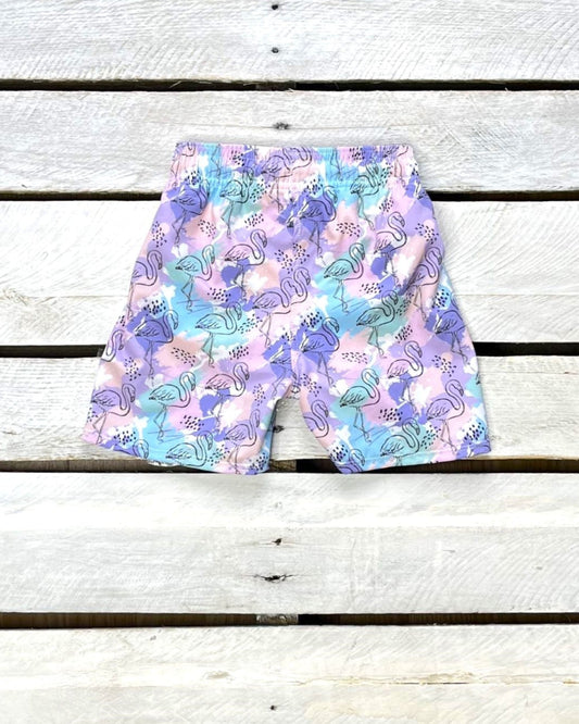 Painted Flamingo Boy Shorts