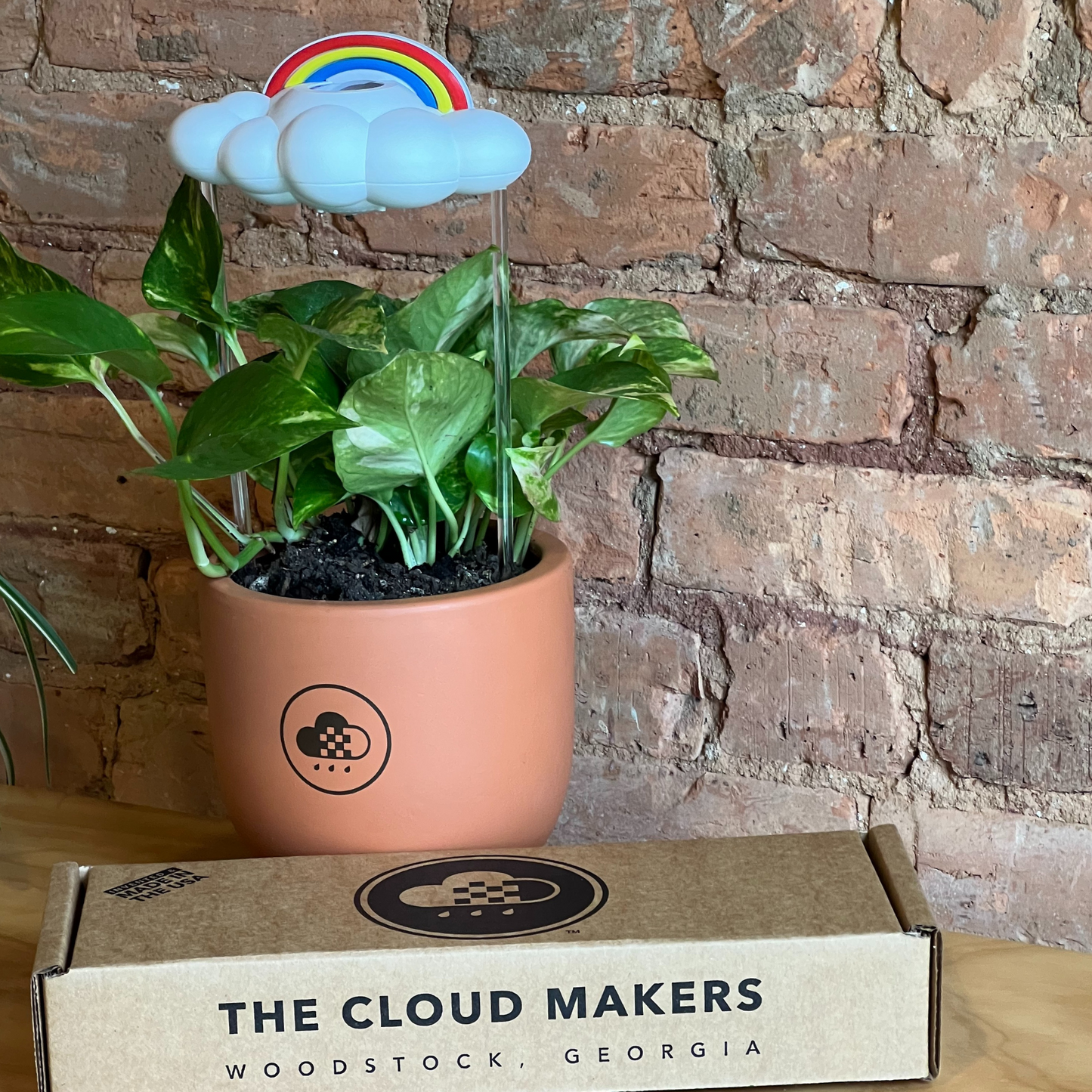 Original Dripping Rain Cloud with Rainbow Charm