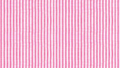 Seersucker Dinner Napkins, set of 4