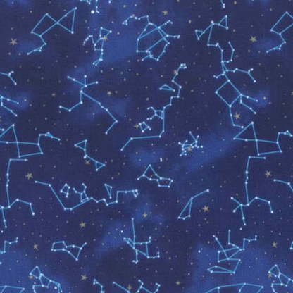 Snack and Sandwich Bags