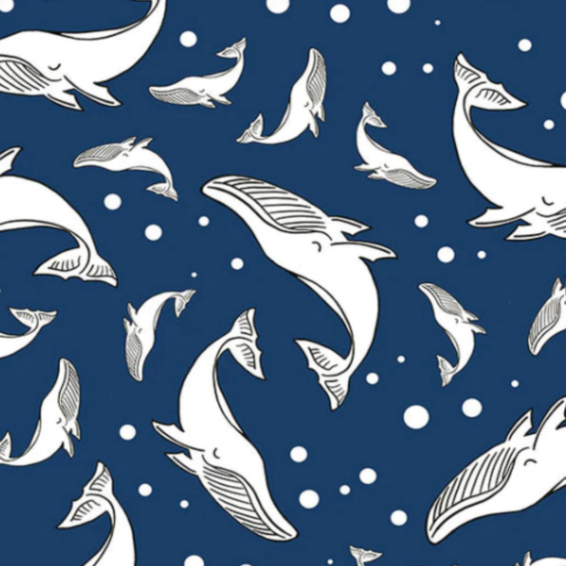 Snack and Sandwich Bags