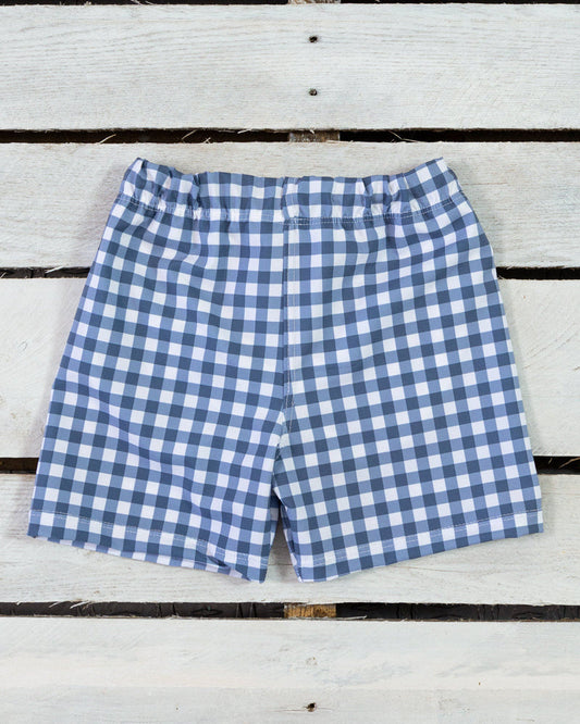 Navy Gingham Swim Shorts
