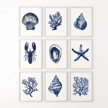 Set of 9 Coastal Prints. Lobster, Starfish, Seaweed, Shell