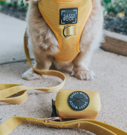 Dog Leash - Sunflower Fields