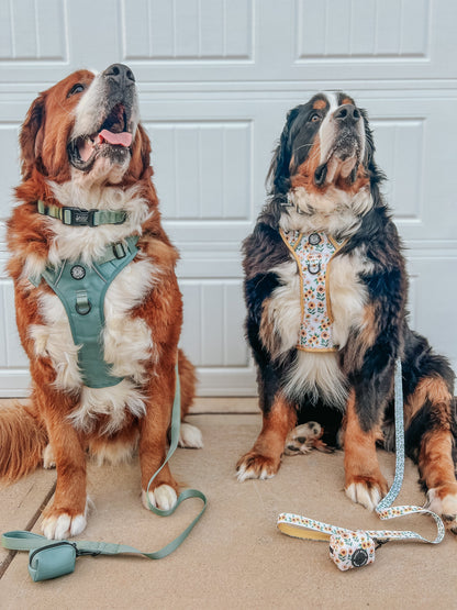 Dog Collar - Sage