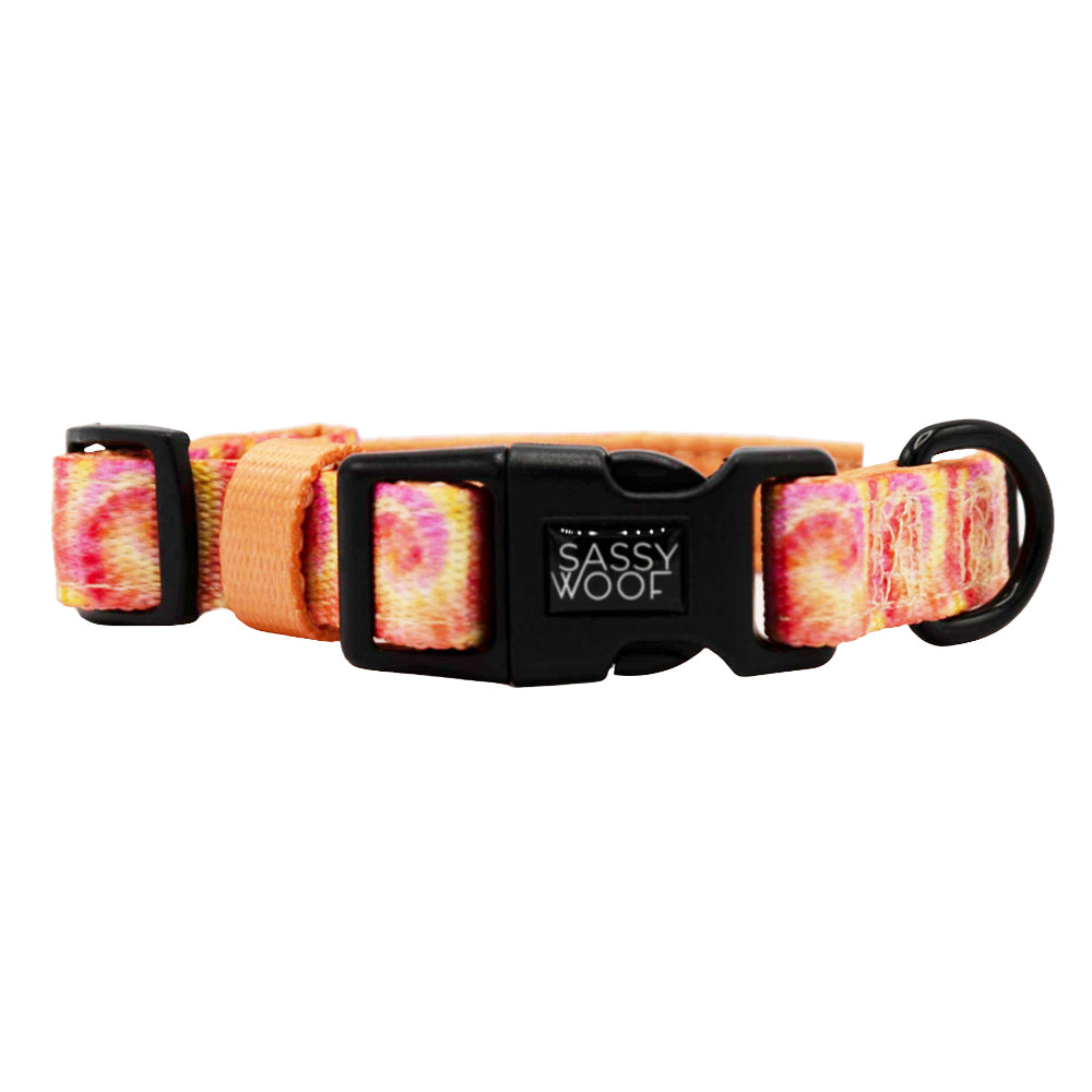 Dog Collar - Summer Sorbet