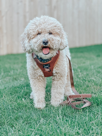Dog Adjustable Harness - Teddy