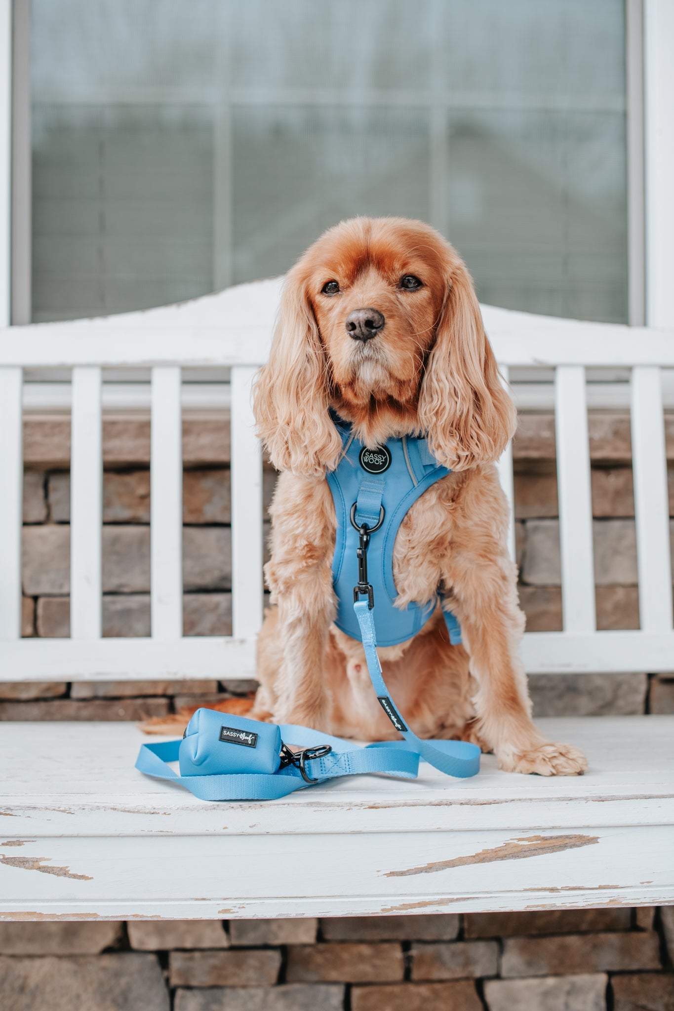 Dog Step-in Harness - Hydrangea