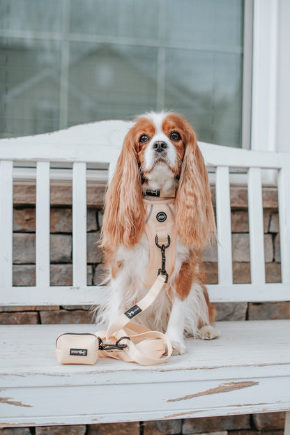 Dog Step-in Harness - Daffodil