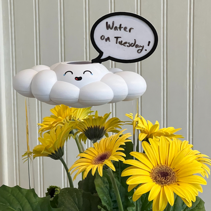 Misty the Cloud