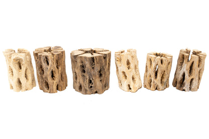 Natural Cholla Wood Container - 3 Inches Tall with Tillandsia Ionantha Air Plant