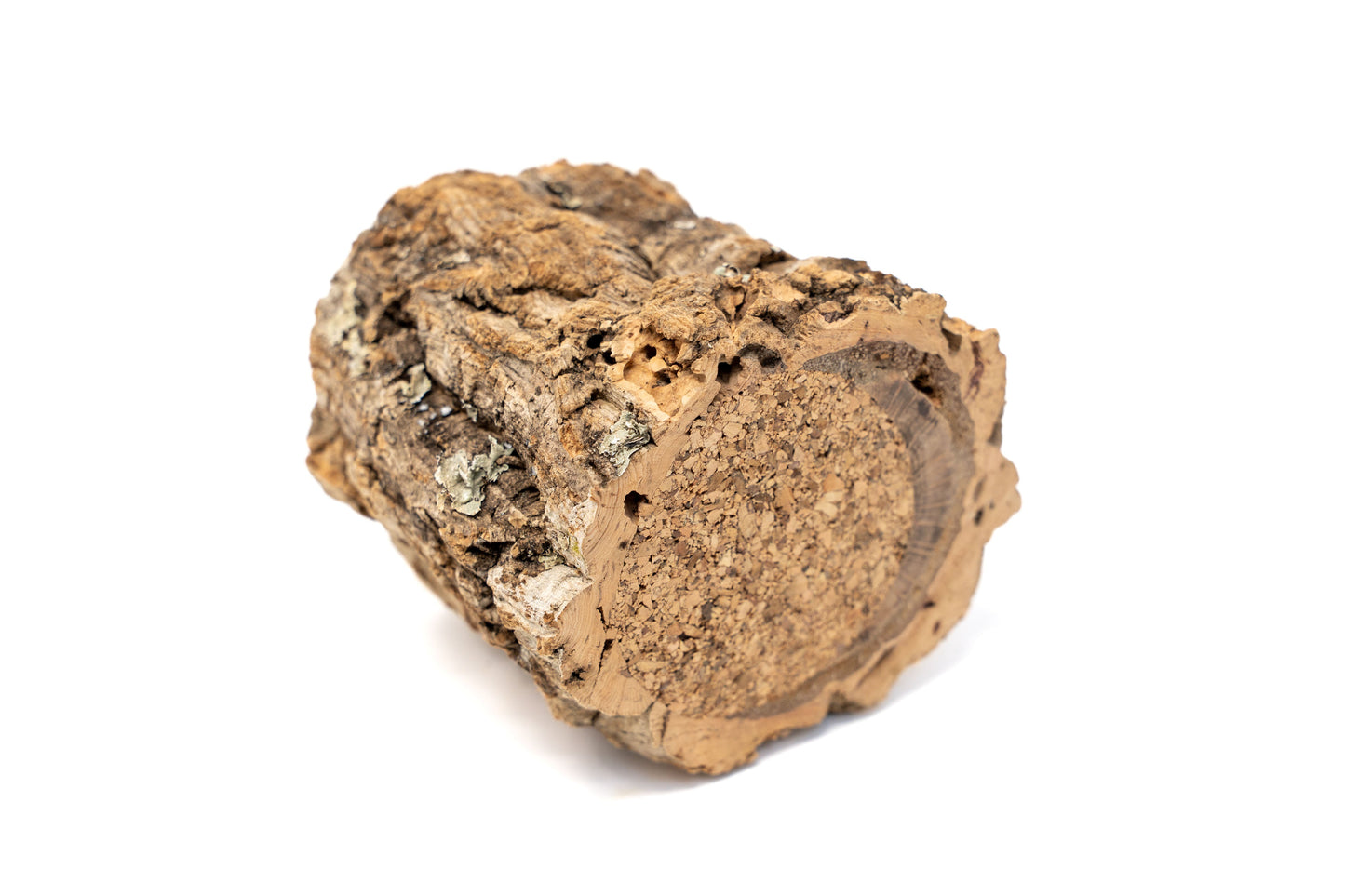 Natural Cork Bark Planters