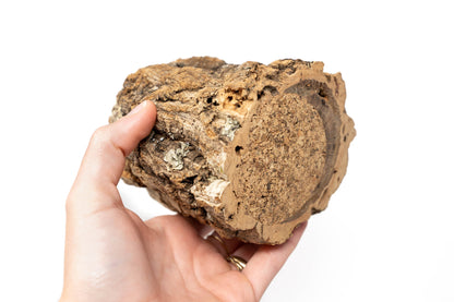 Natural Cork Bark Planters