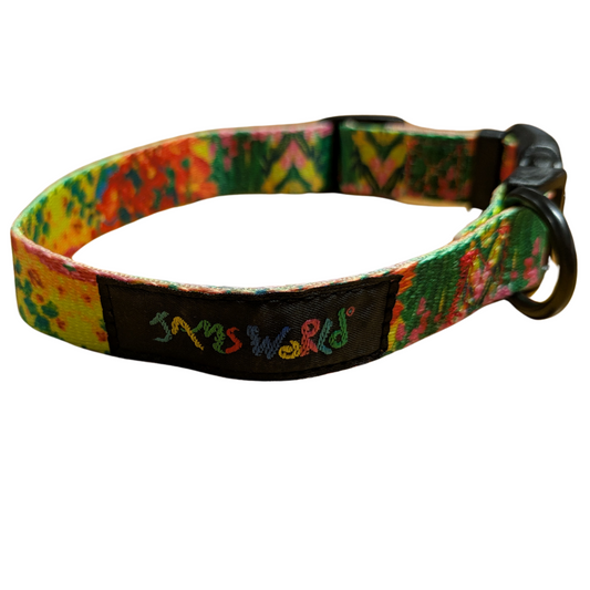 Pet Collar - Bouquet Burst