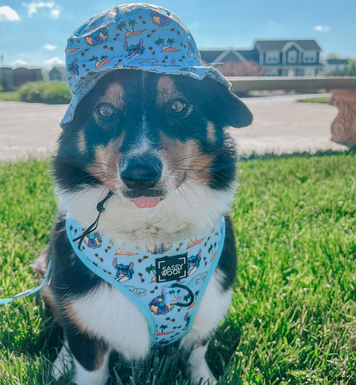 Dog Bucket Hat - Disney's Stitch