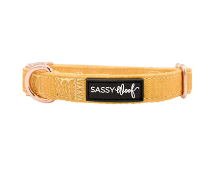 Dog Collar - Sunflower Fields