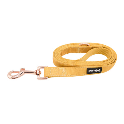 Dog Leash - Sunflower Fields