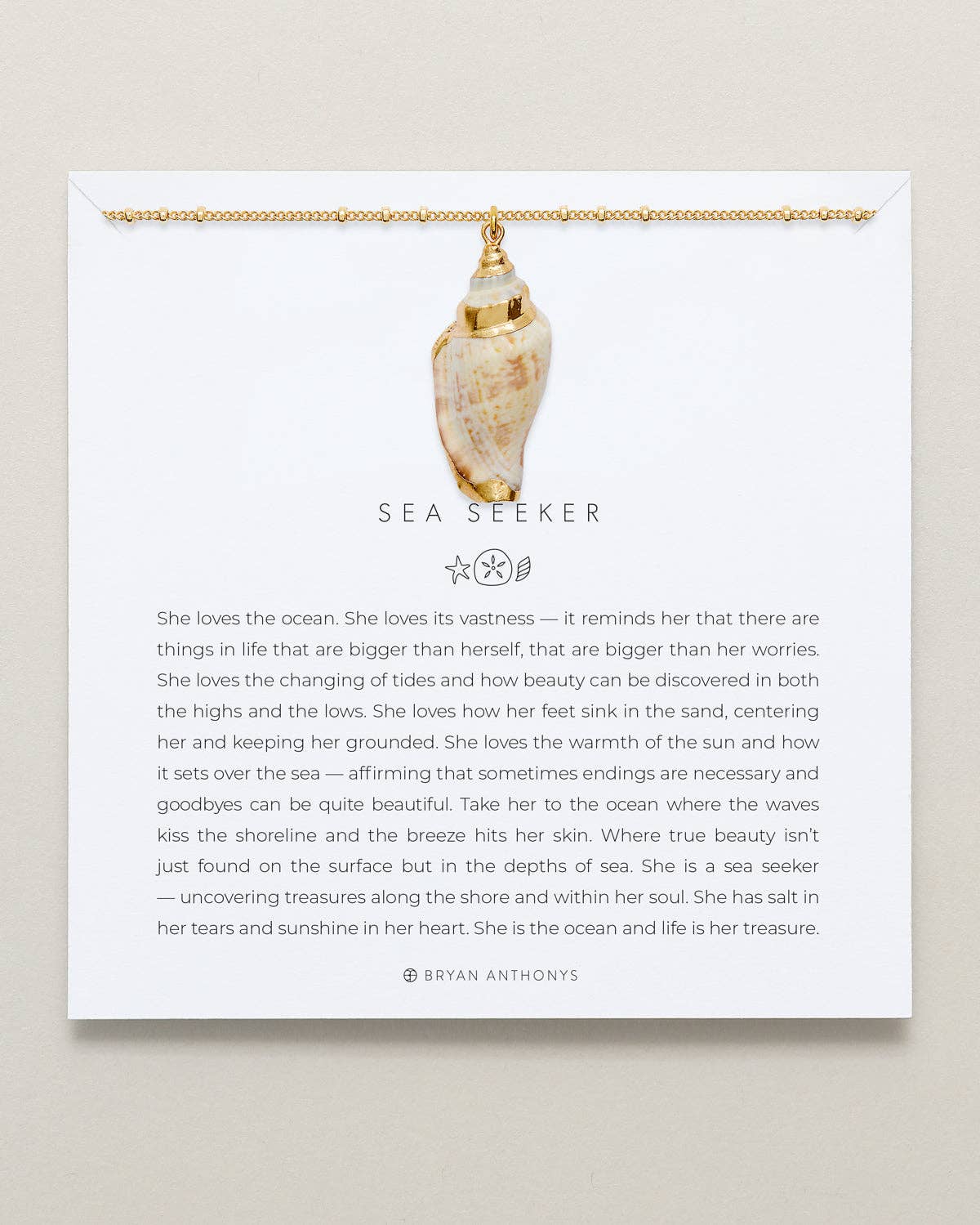 Sea Seeker Shell Necklace