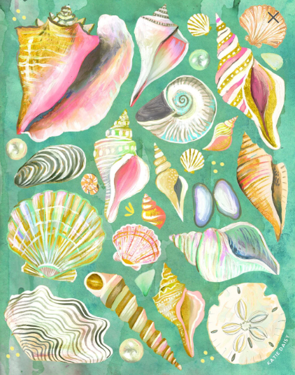 Seashells Art Print