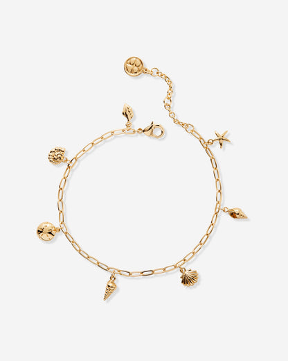 Sea Seeker Charm Bracelet