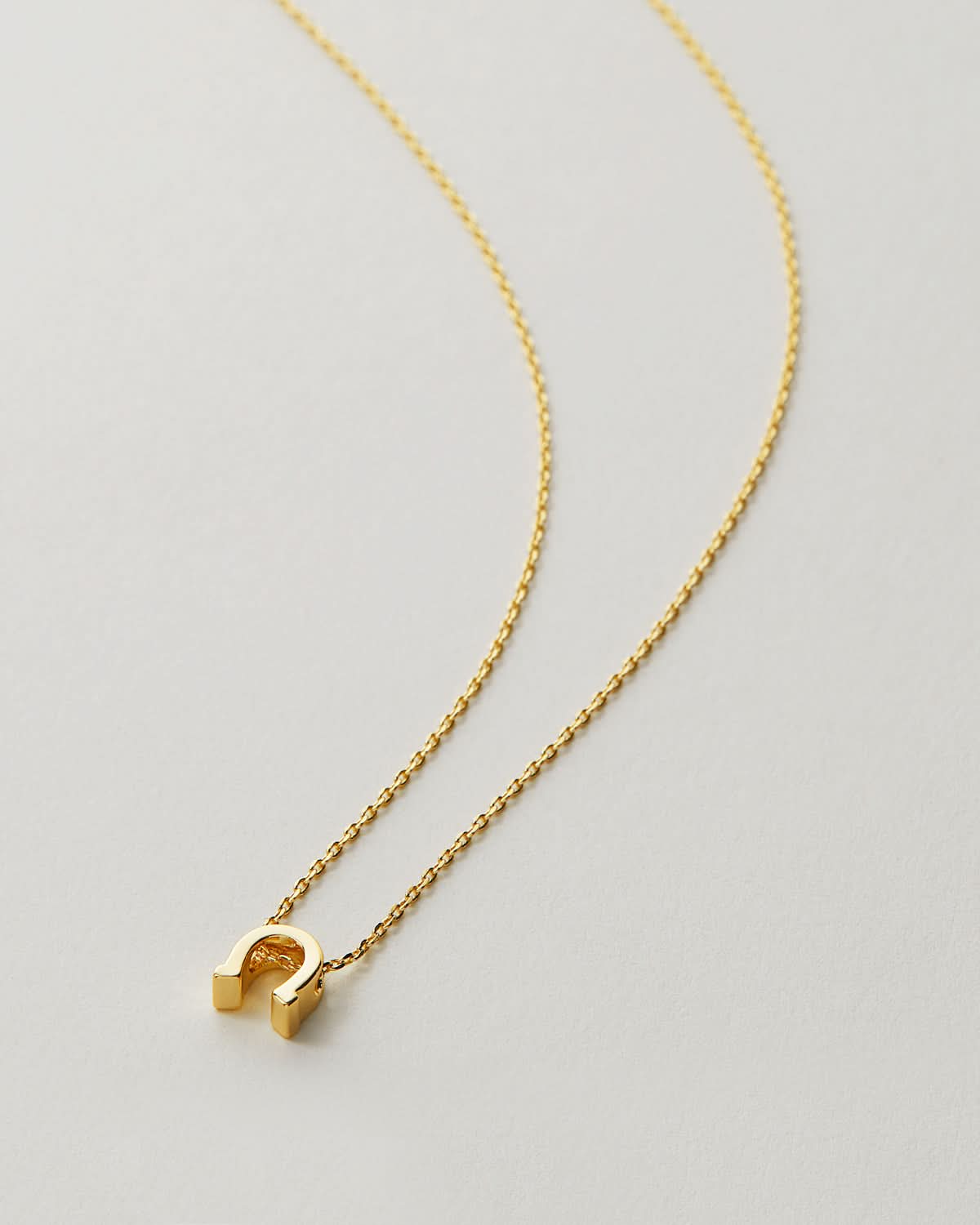 Good Luck Icon Necklace
