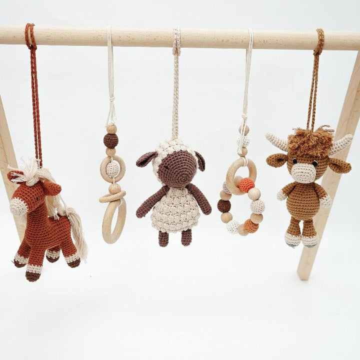Baby Activity Gym & Crochet Toys