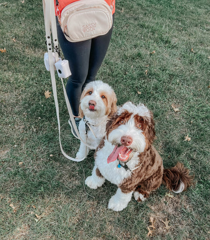 Dog Waterproof Leash - Beige