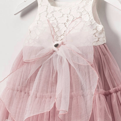 Blush Lace & Tulle Baby Dress