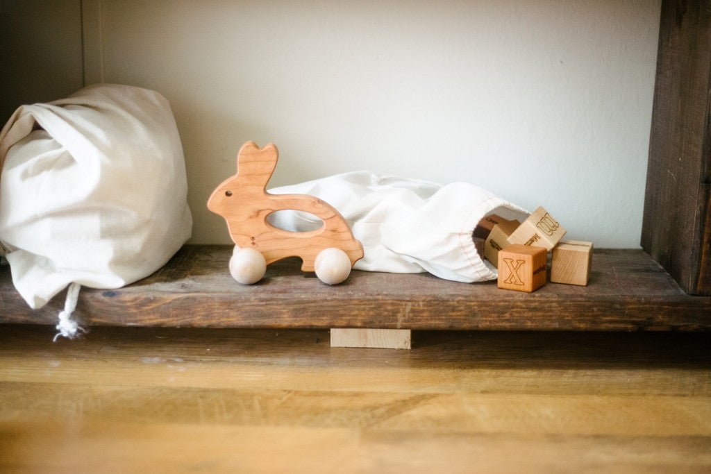 Bunny Push Toy